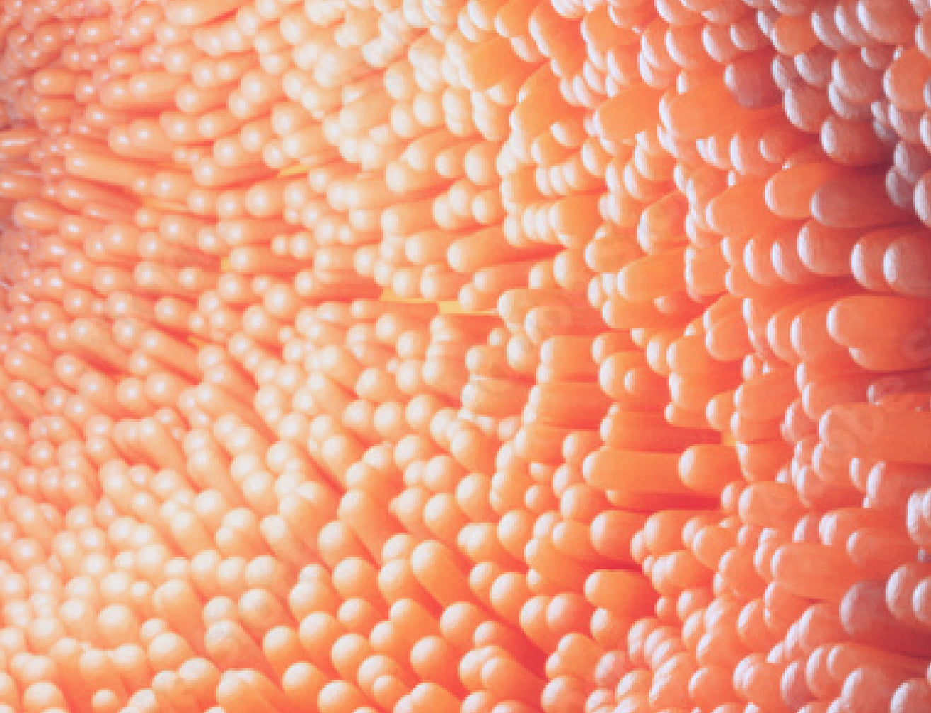 Close-up abstract image of vibrant orange textures resembling smooth, rounded collagen structures. Ideal for beauty and supplement themes.