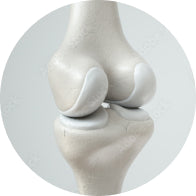 3D illustration of a knee joint showcasing smooth articulation, highlighting collagen's role in joint health and beauty supplements.
