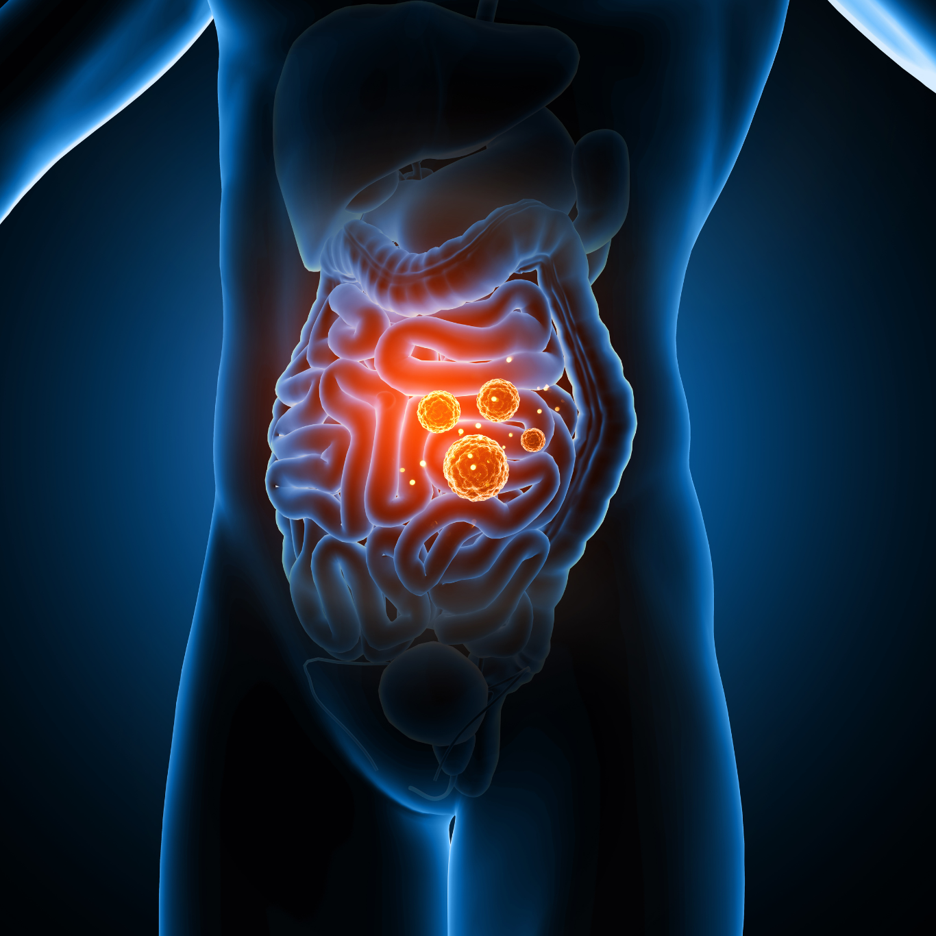 X-ray view of human abdomen highlighting intestines with glowing points, suggesting digestive health and supplement benefits.