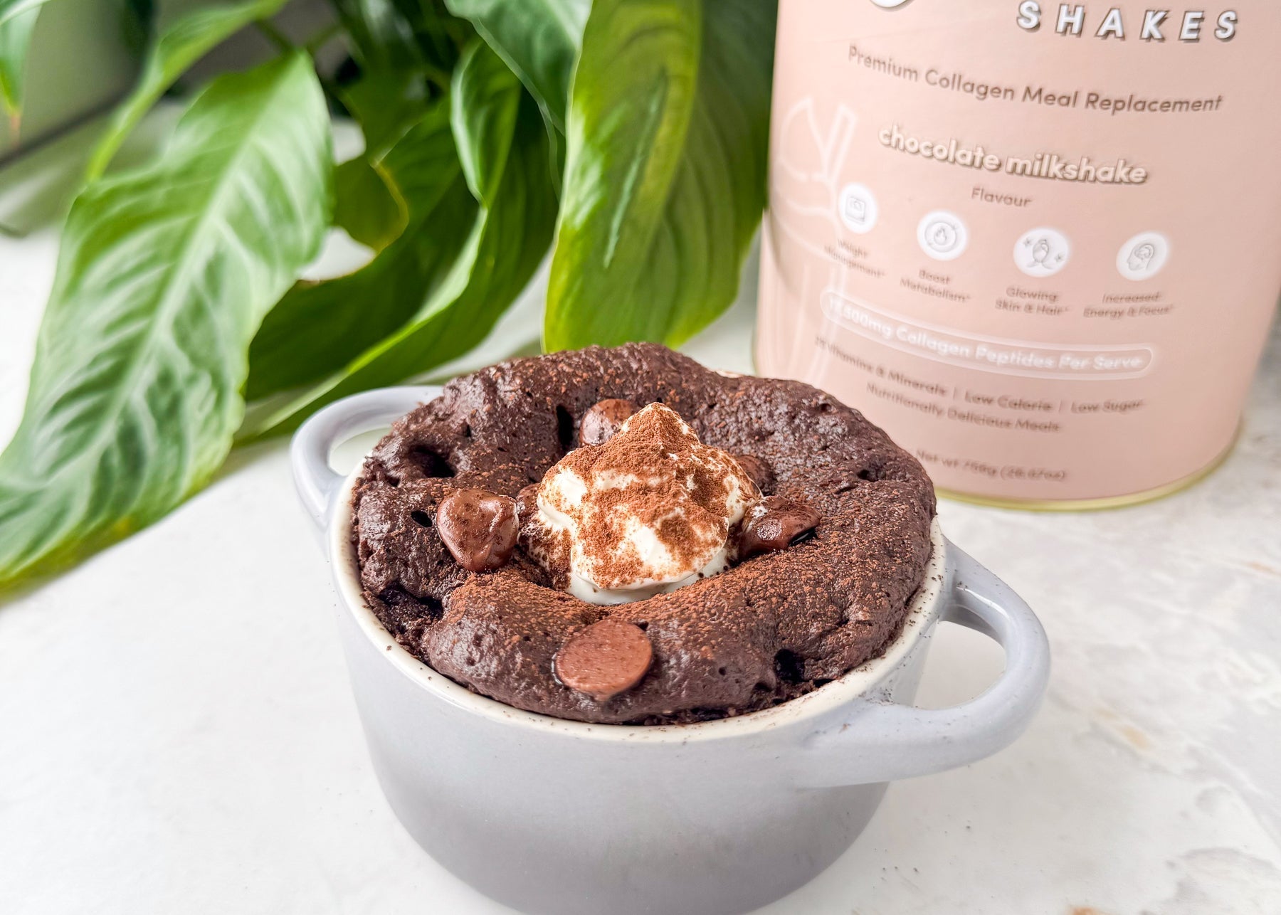 Chocolate Protein Mug Cake - The Collagen Co.