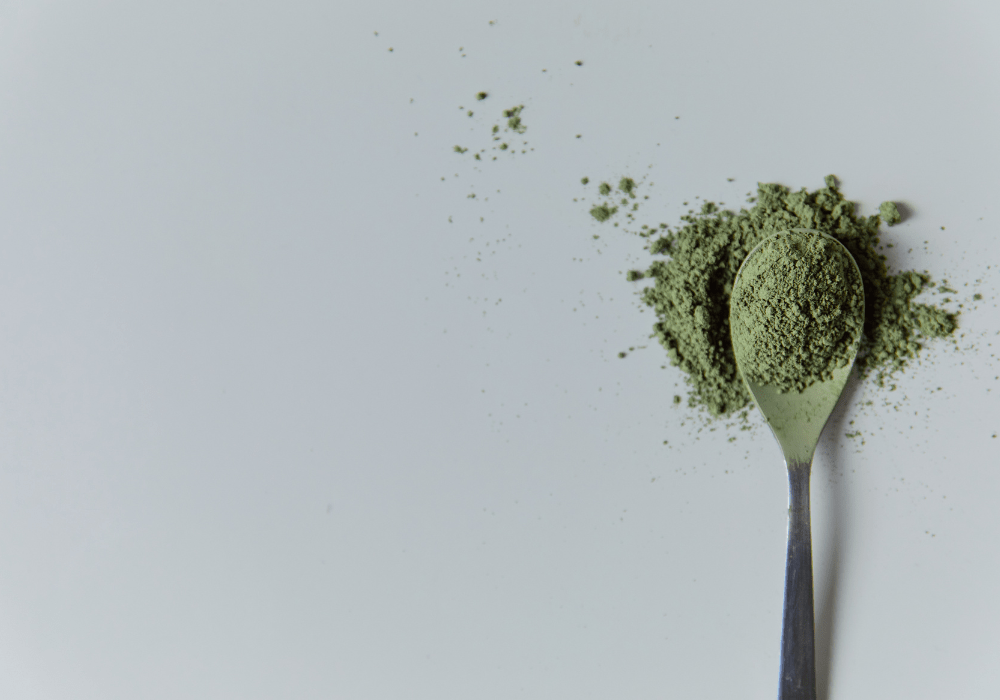 Top 5 Ingredients to Nourish Your Gut Bacteria - The Collagen Co.