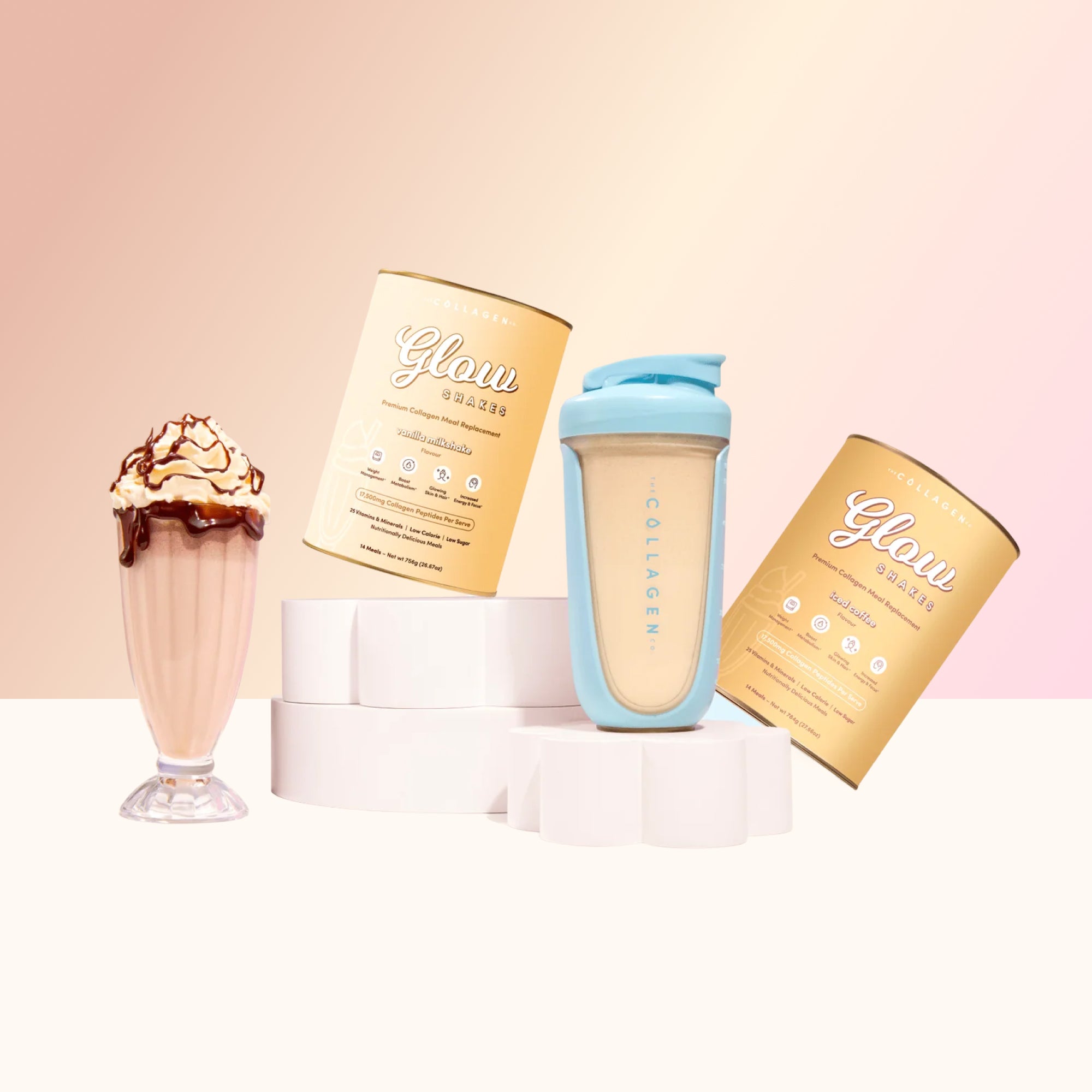 1 Shake A Day Plan