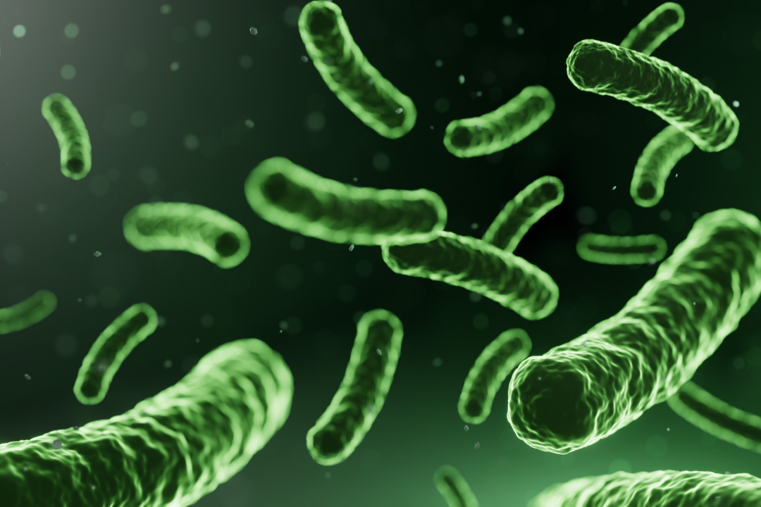 Green bacterial cells floating against a dark backdrop, representing microscopic view related to beauty supplements.