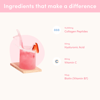 Day to Dream Bundle - The Collagen Co.