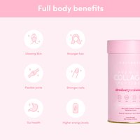 Day to Dream Bundle - The Collagen Co.
