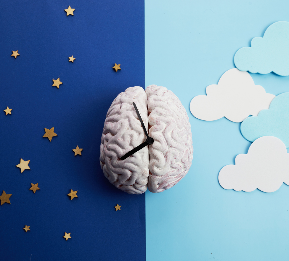 Brain clock on split blue background with stars and clouds, symbolizing day and night.