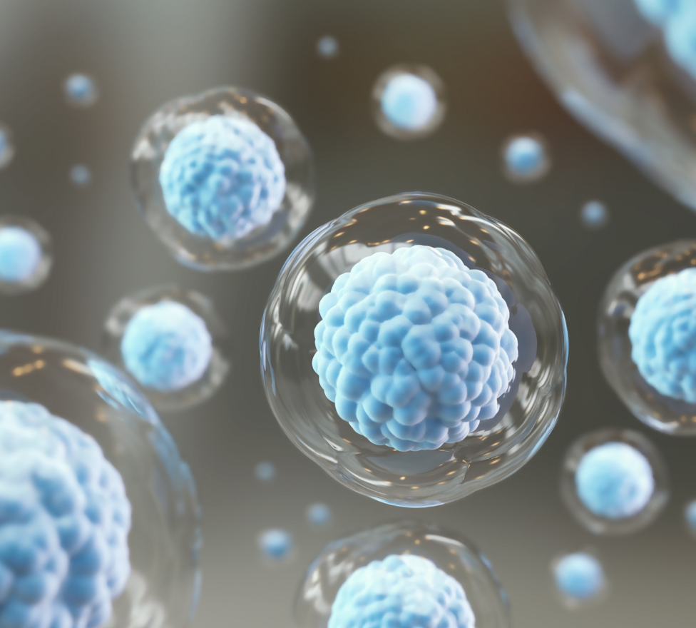 Close-up of translucent spheres with textured blue interiors, resembling microscopic collagen structures.