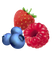 Mixed Berry