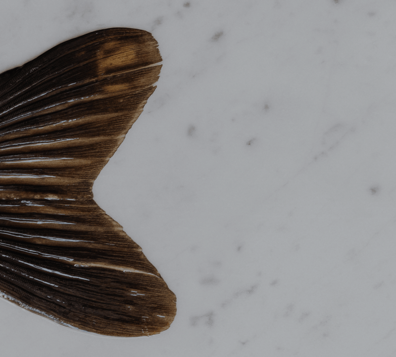 A textured brown feather on a light gray marble surface, highlighting natural beauty and aesthetic elegance.